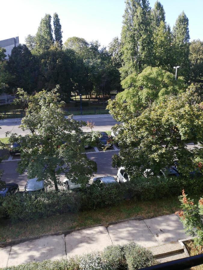 Apartman Vanja Belgrado Exterior foto
